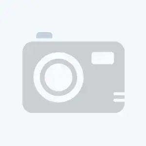 <h4>DI ST GR. LEGE VERDE 55</h4>
